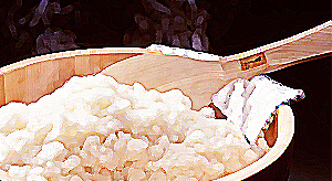 Cuiseurs / mélangeurs de riz